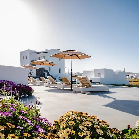 Bonsai Luxury